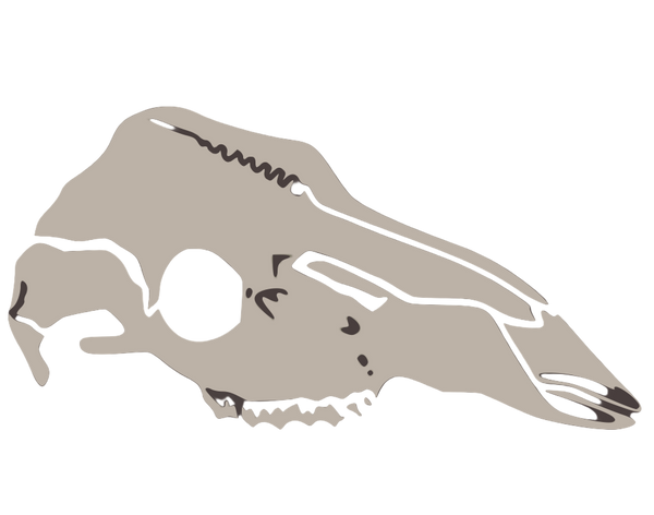 Emily Patricia Jewelry